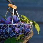 congerdesign-plums-1649316_640