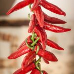 db1434414721f219281b9dd658a19a69 (1)