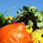 noname_13-thanksgiving-1632751_640